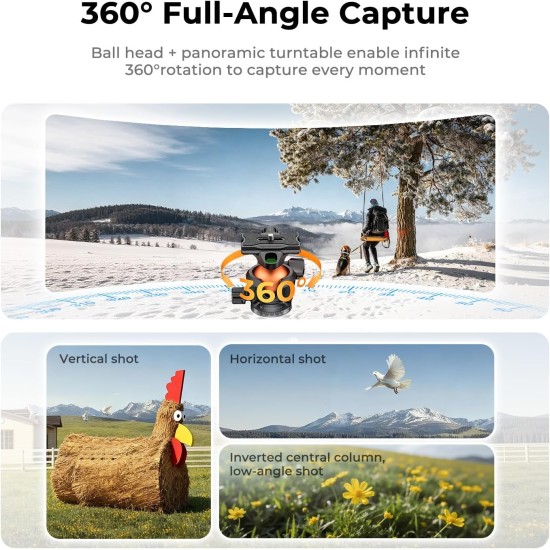 K&F Concept 73" Compact Camera Tripod(A305A3+BH-40)